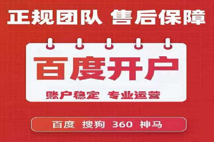 百度竞价广告运营全解析：成功案例揭秘
